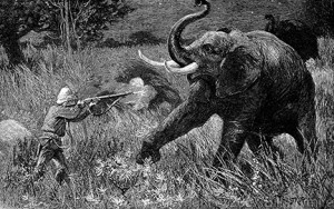 Explain George Orwell’s attitude towards imperialism and colonialism in Shooting an Elephant.